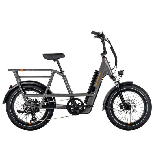 RadRunner 3 Plus Electric Utility Bike